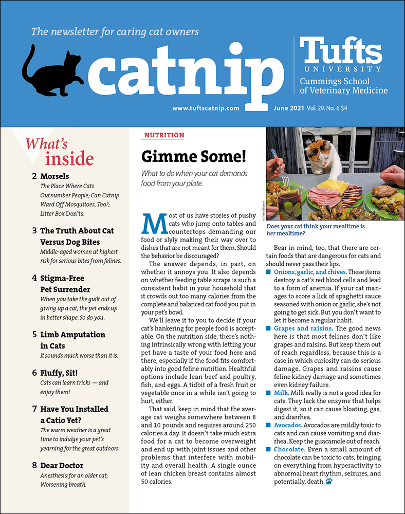 Catnip June 01, 2021 Issue Cover