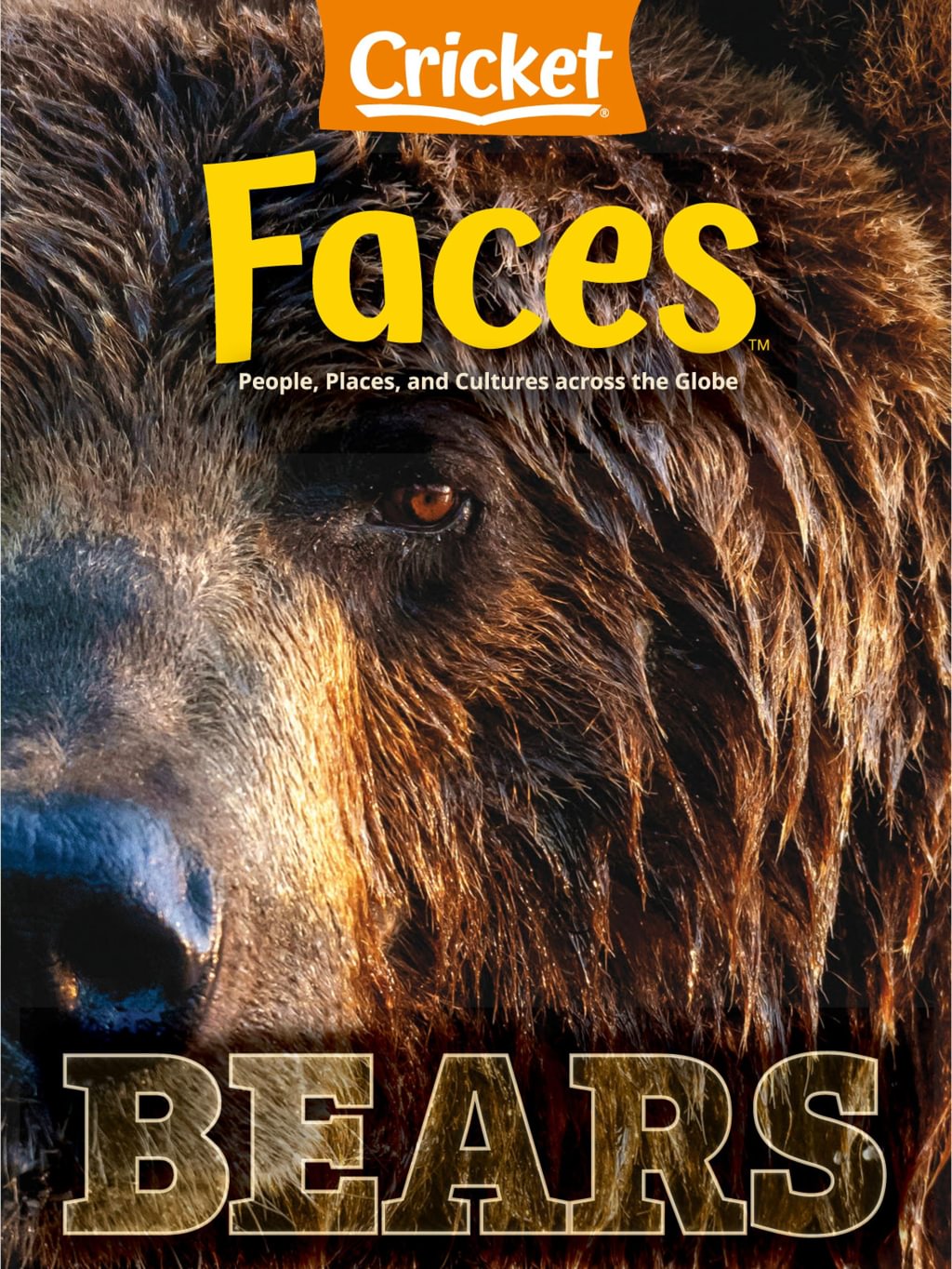 Faces February 01, 2024 Issue Cover