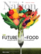 the-nation October 30, 2017 Issue Cover