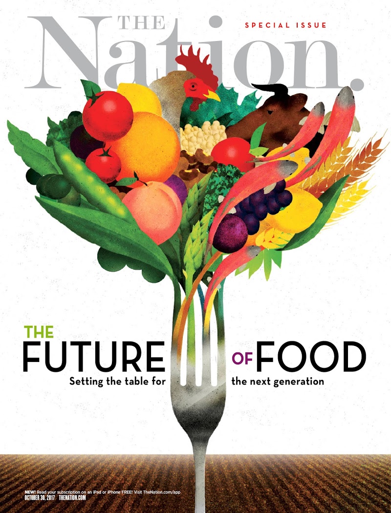 the-nation October 30, 2017 Issue Cover