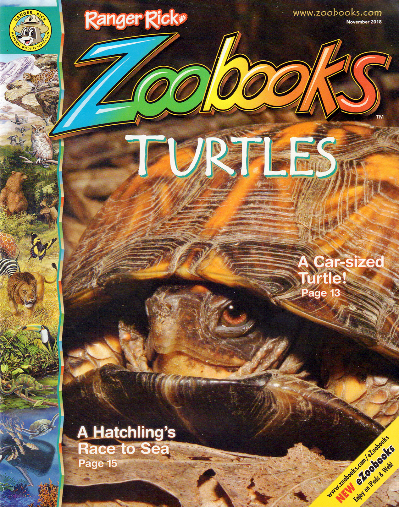 zoobooks November 01, 2018 Issue Cover