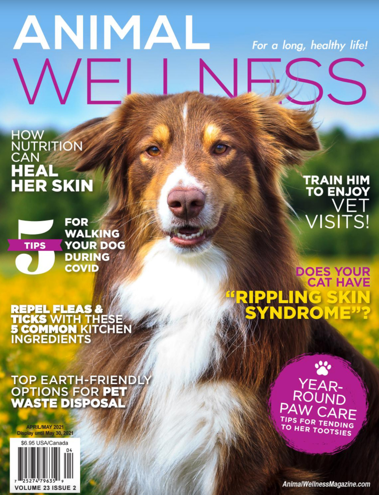 Animal-Wellness April 01, 2021 Issue Cover