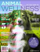 Animal-Wellness April 01, 2021 Issue Cover