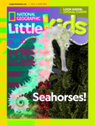 national-geographic-little-kids May 01, 2019 Issue Cover