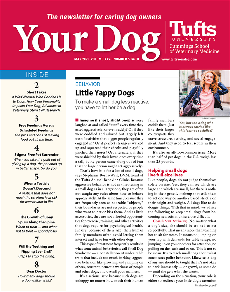 Your-Dog May 01, 2021 Issue Cover