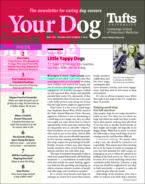 Your-Dog May 01, 2021 Issue Cover