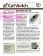 Catwatch August 01, 2021 Issue Cover