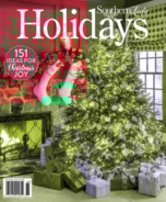 Southern-Lady December 01, 2018 Issue Cover
