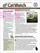 Catwatch June 01, 2020 Issue Cover