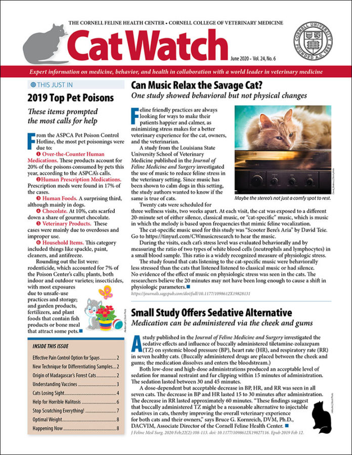 Catwatch June 01, 2020 Issue Cover