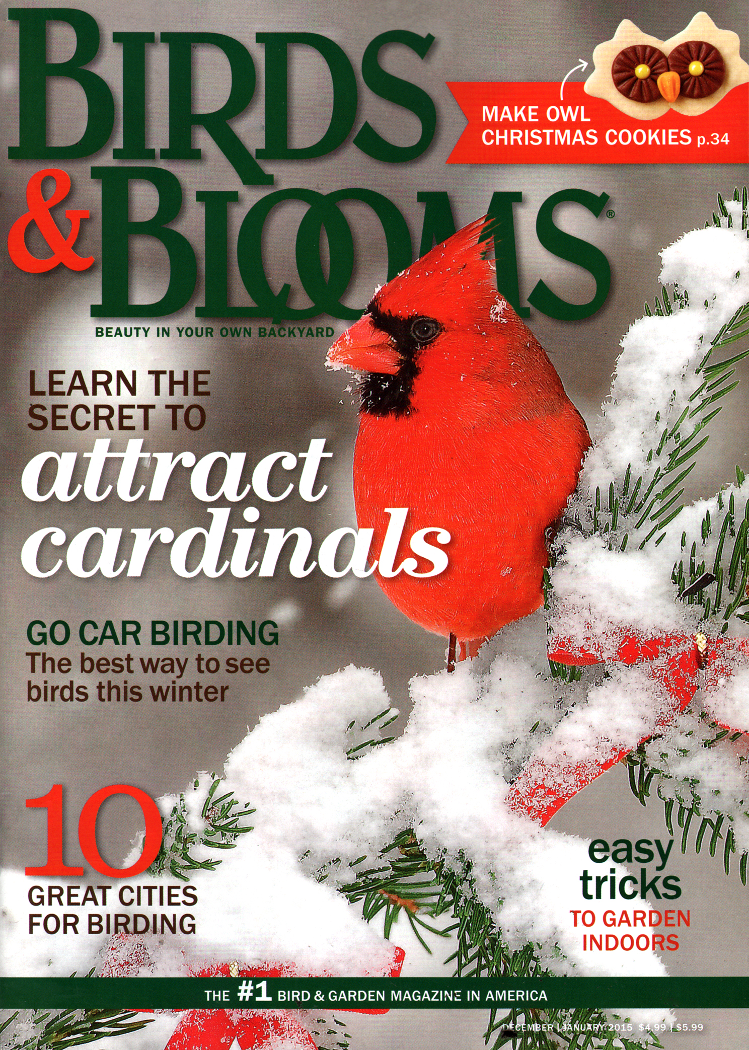 Birds-and-Blooms December 01, 2014 Issue Cover