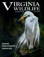 Virginia-Wildlife July 01, 2020 Issue Cover
