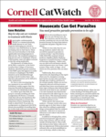 Catwatch June 01, 2026 Issue Cover