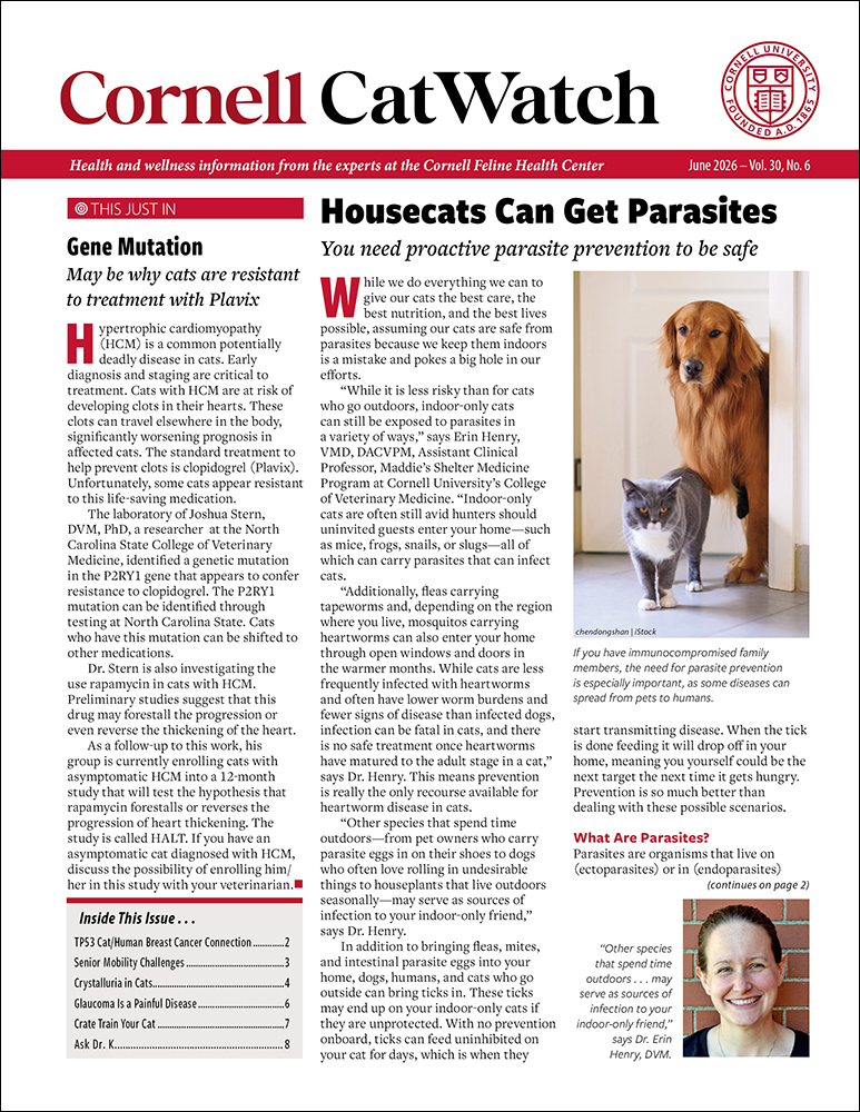 Catwatch June 01, 2026 Issue Cover