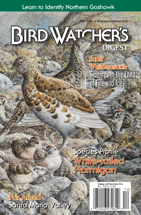 Bird-Watchers-Digest November 01, 2018 Issue Cover