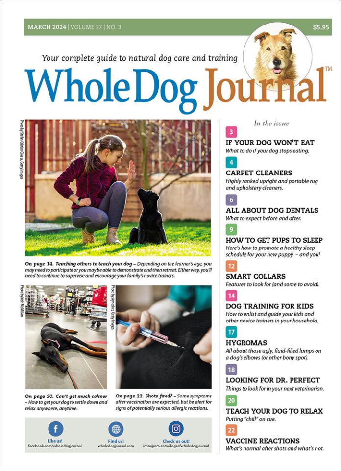 Whole-Dog-Journal March 01, 2024 Issue Cover