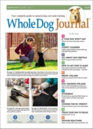 Whole-Dog-Journal March 01, 2024 Issue Cover