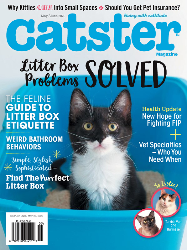 Catster May 01, 2020 Issue Cover