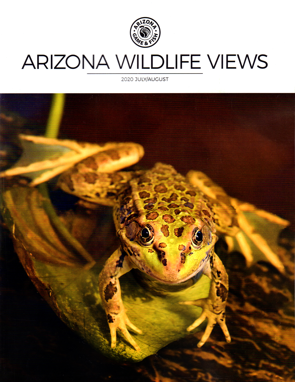Arizona-Wildlife-Views July 01, 2020 Issue Cover