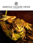 Arizona-Wildlife-Views July 01, 2020 Issue Cover