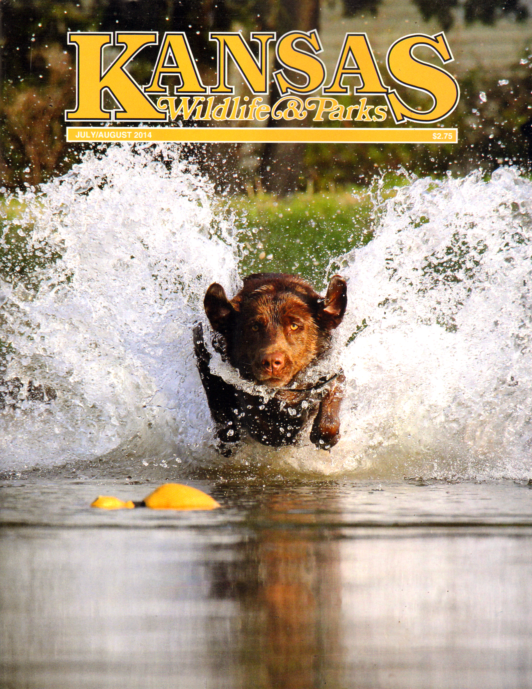 Kansas-Wildlife-and-Parks July 01, 2014 Issue Cover