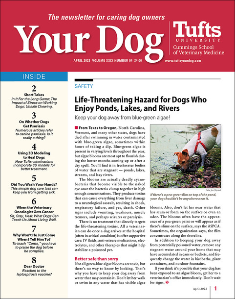 Your-Dog April 01, 2023 Issue Cover