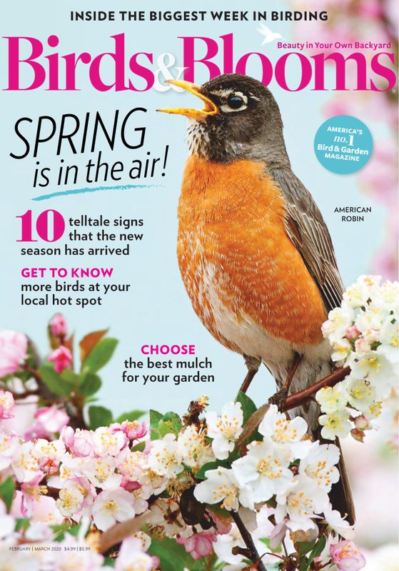 Birds-and-Blooms February 01, 2020 Issue Cover