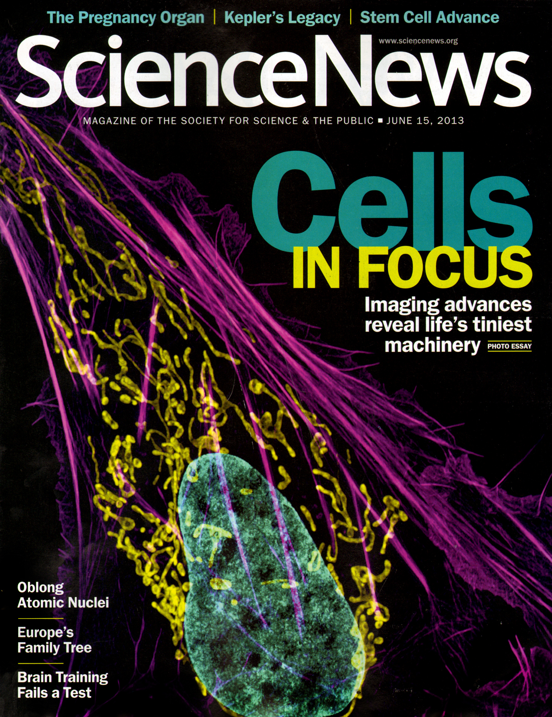 Science-News June 15, 2013 Issue Cover