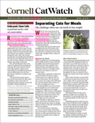 Catwatch July 01, 2025 Issue Cover