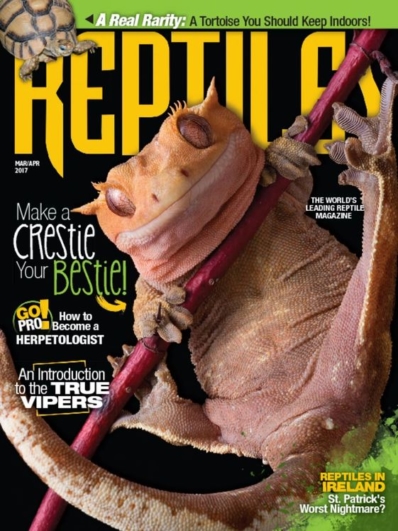 Reptiles March 01, 2017 Issue Cover