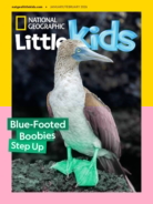 National-Geographic-Little-Kids January 01, 2026 Issue Cover