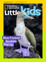 National Geographic Little Kids January 01, 2026 Issue Cover