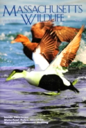Massachusetts-Wildlife November 01, 2013 Issue Cover