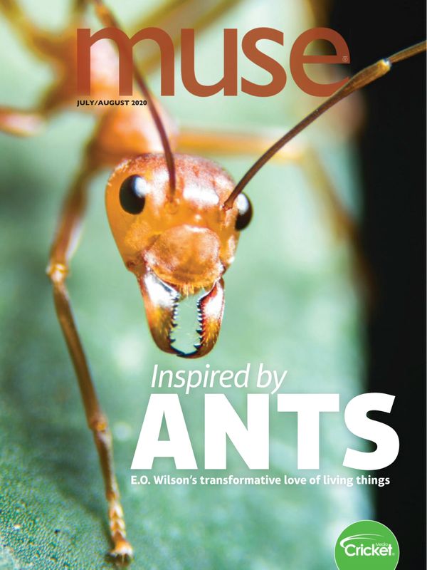 Muse July 01, 2020 Issue Cover