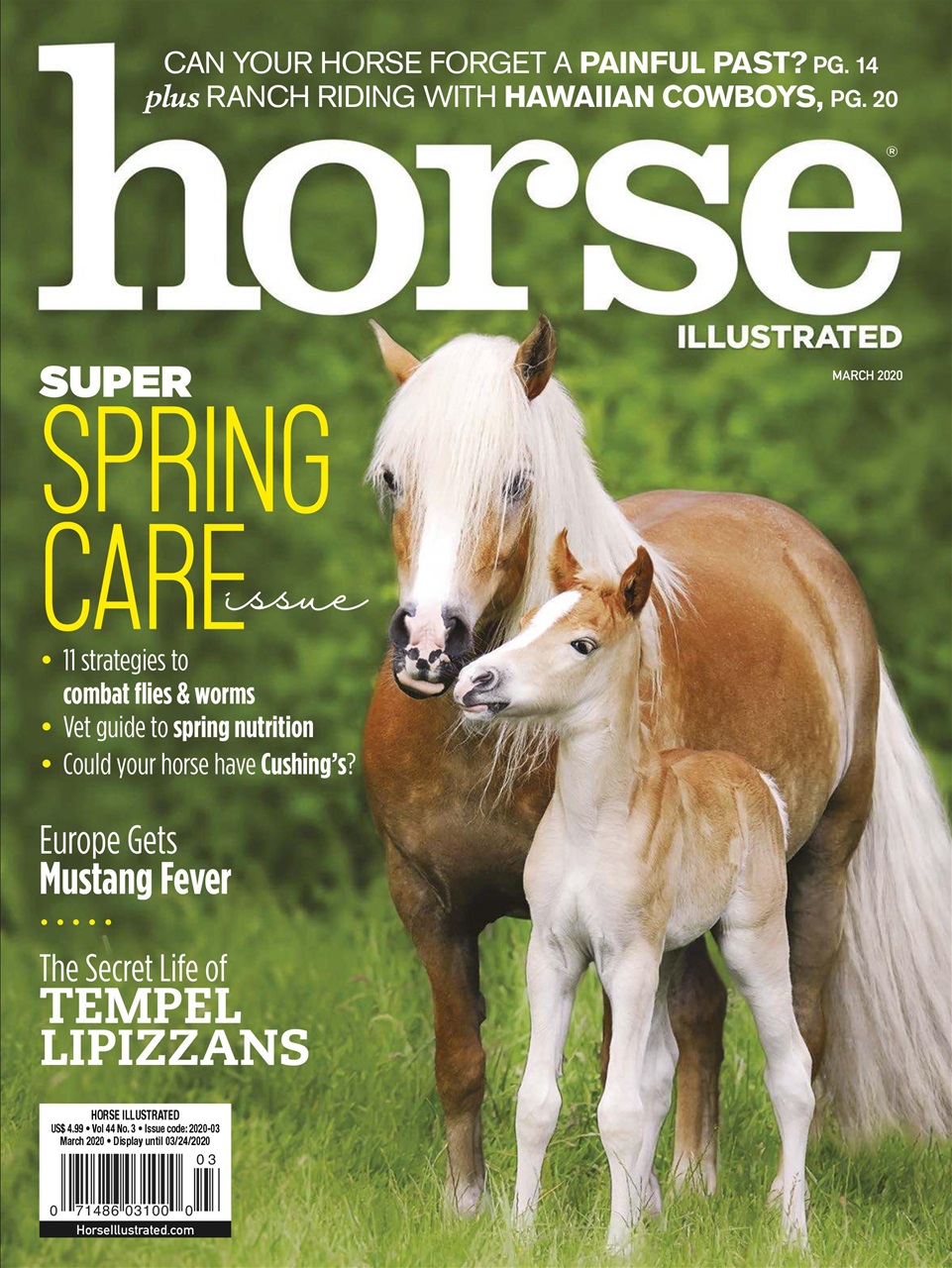 Horse-Illustrated March 01, 2020 Issue Cover