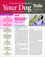 Your-Dog November 01, 2021 Issue Cover