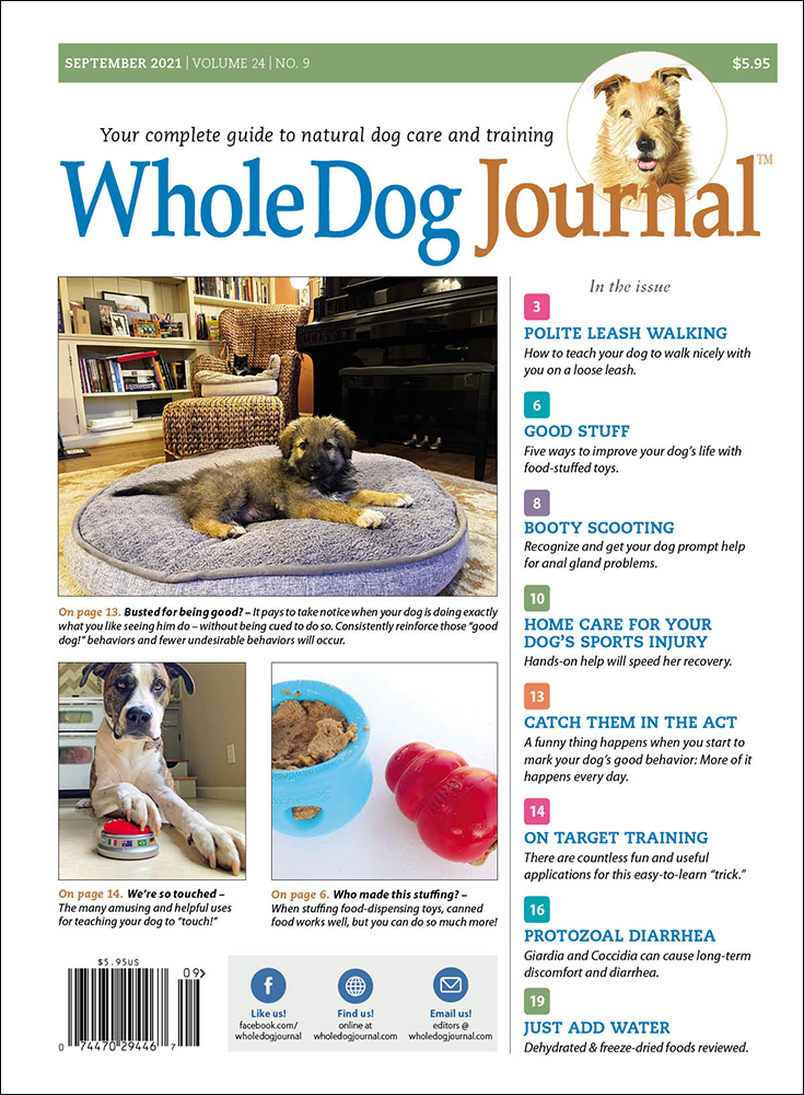 Whole-Dog-Journal September 01, 2021 Issue Cover