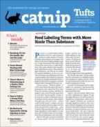 Catnip February 01, 2020 Issue Cover