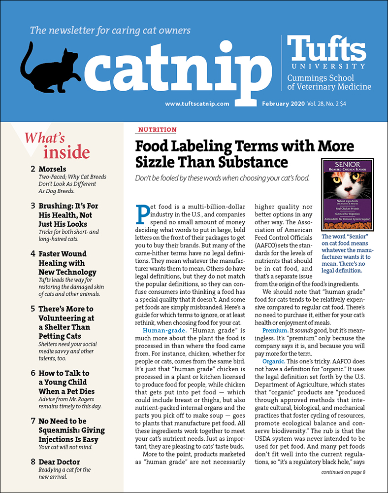 Catnip February 01, 2020 Issue Cover