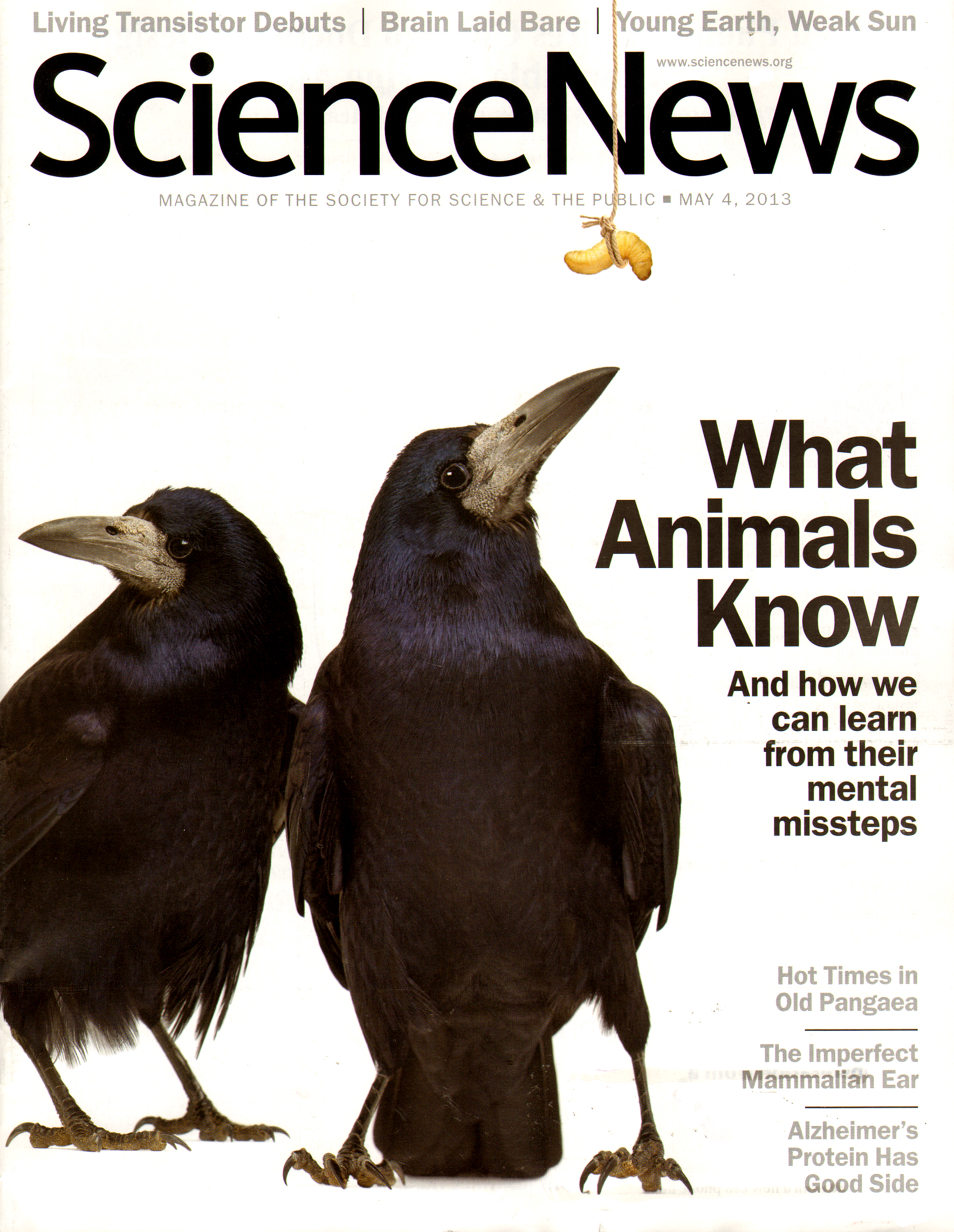 Science-News May 04, 2013 Issue Cover