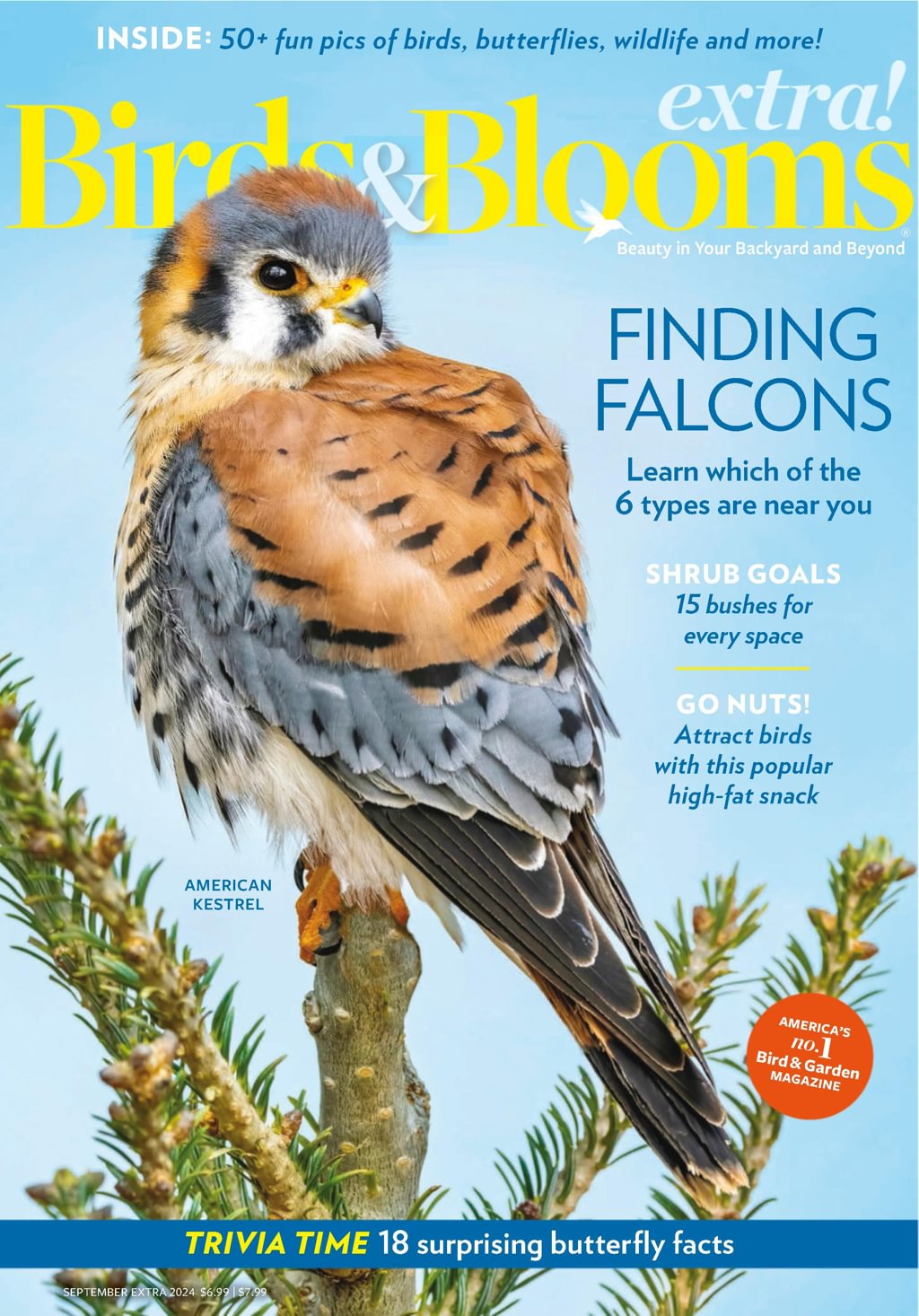 Birds-and-Blooms-Extra September 01, 2024 Issue Cover