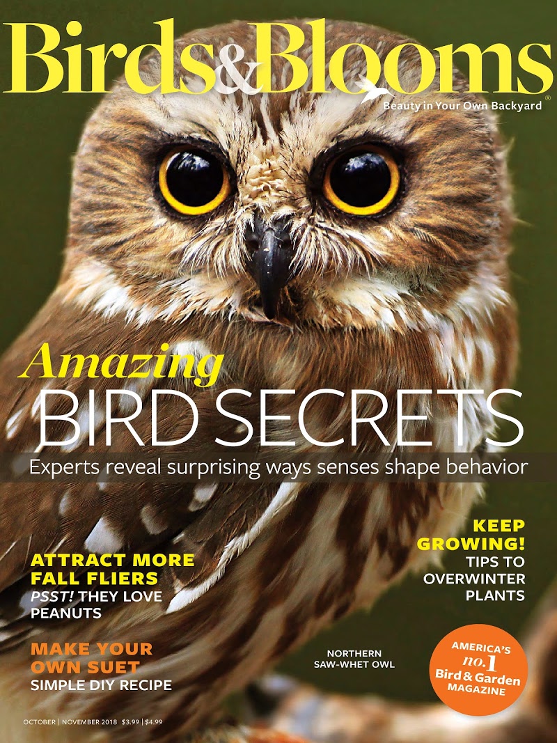 Birds-and-Blooms October 01, 2018 Issue Cover