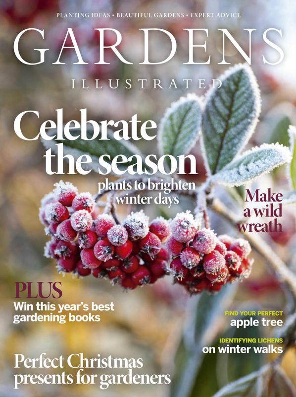 Gardens-Illustrated December 01, 2020 Issue Cover