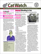 Catwatch July 01, 2021 Issue Cover