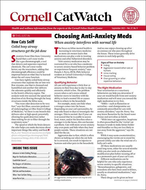 Catwatch September 01, 2023 Issue Cover