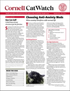 Catwatch September 01, 2023 Issue Cover