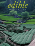 Edible-Manhattan September 01, 2013 Issue Cover