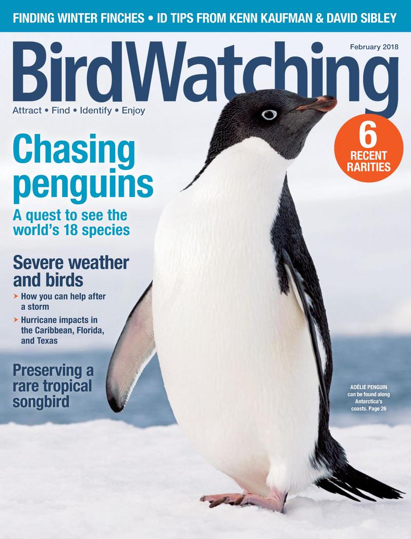 Bird-Watching February 01, 2018 Issue Cover