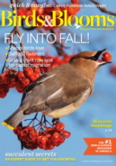 Birds-and-Blooms October 01, 2016 Issue Cover