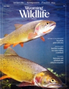 Wyoming-Wildlife June 01, 2016 Issue Cover